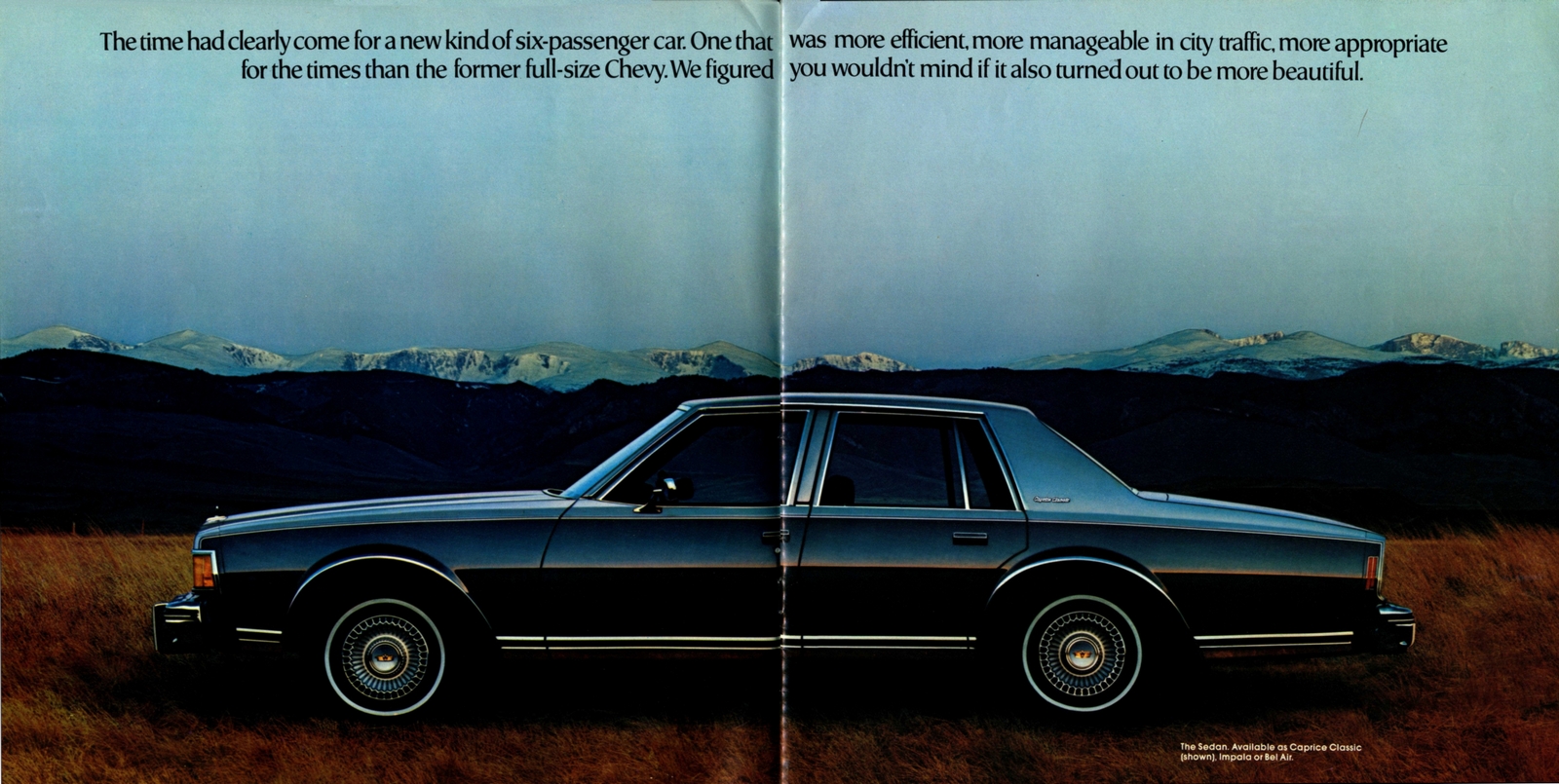 n_1977 Chevrolet Full Size (Cdn)-04-05.jpg